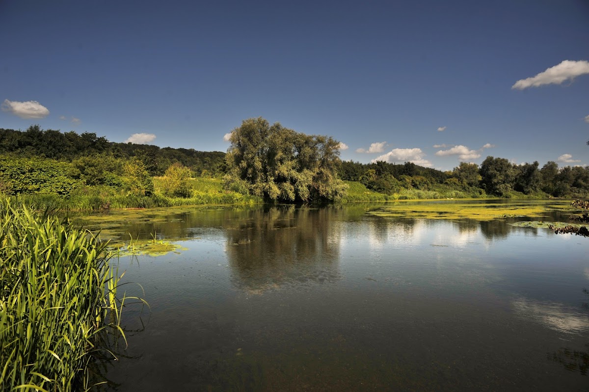 Reserve naturelle de Eijsden