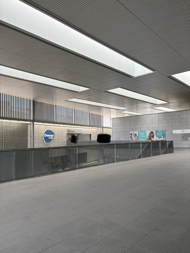 Gallery 5