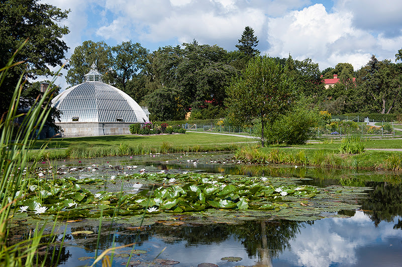 Bergianska trädgården fotoğraf 1