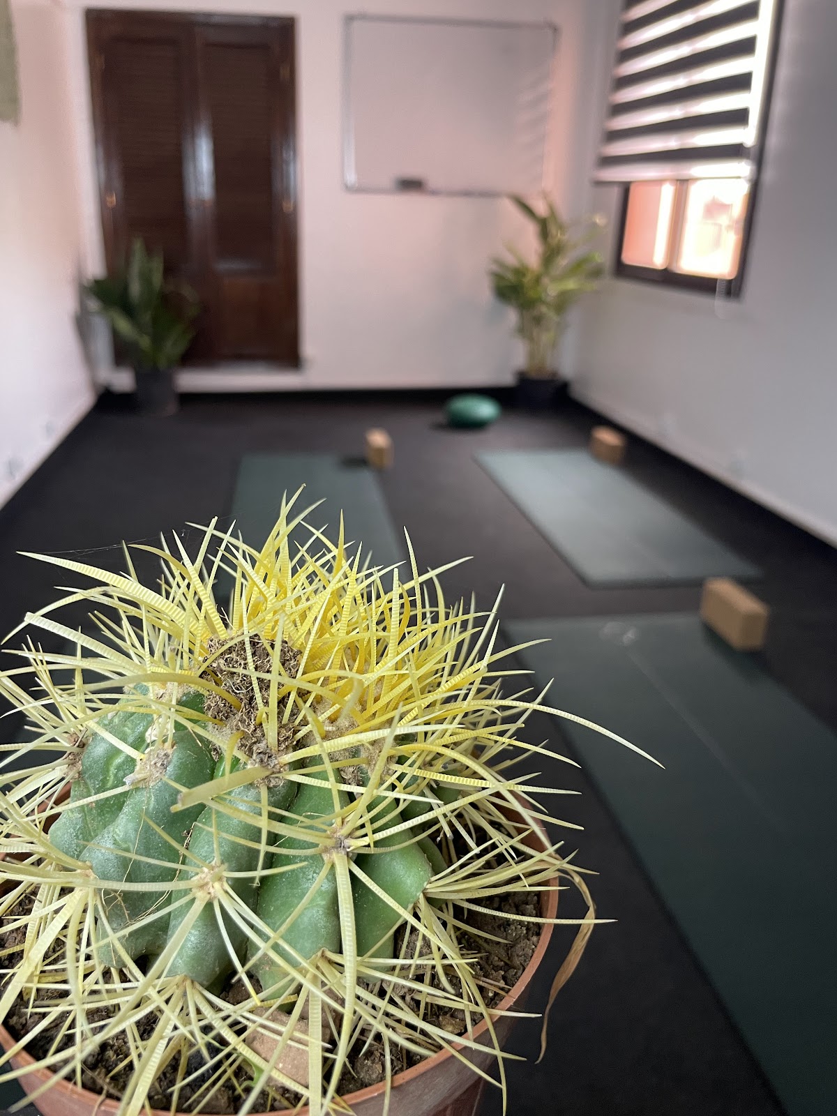 Kioze - Yoga Marrakesh, Studio Yoga 100% Femmes, Pilates Marrakesh, Dance Orientale, Boxe Femmes, Cours De Yoga Marrakesh — 4