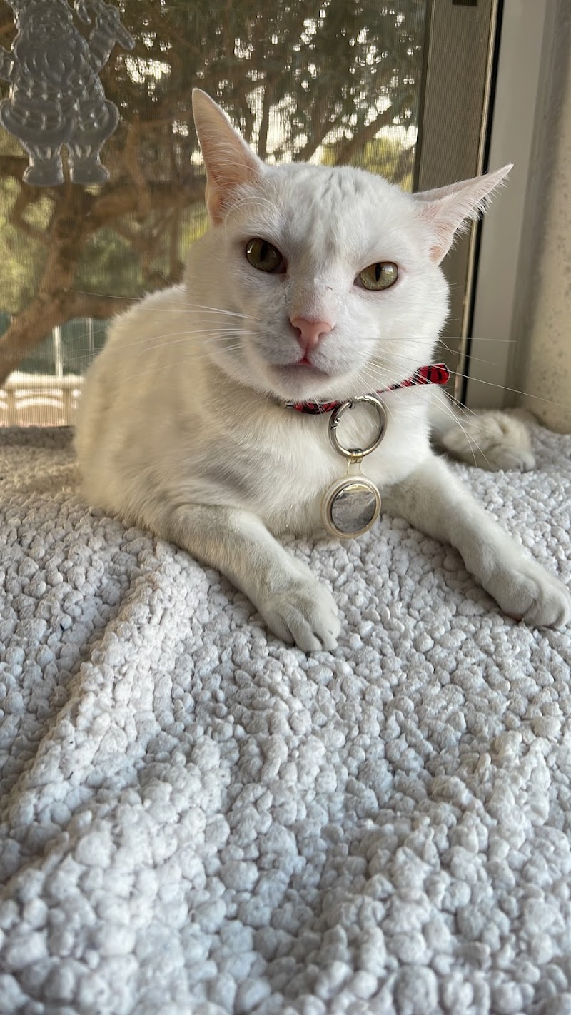 Clínica Veterinària Reus Vet