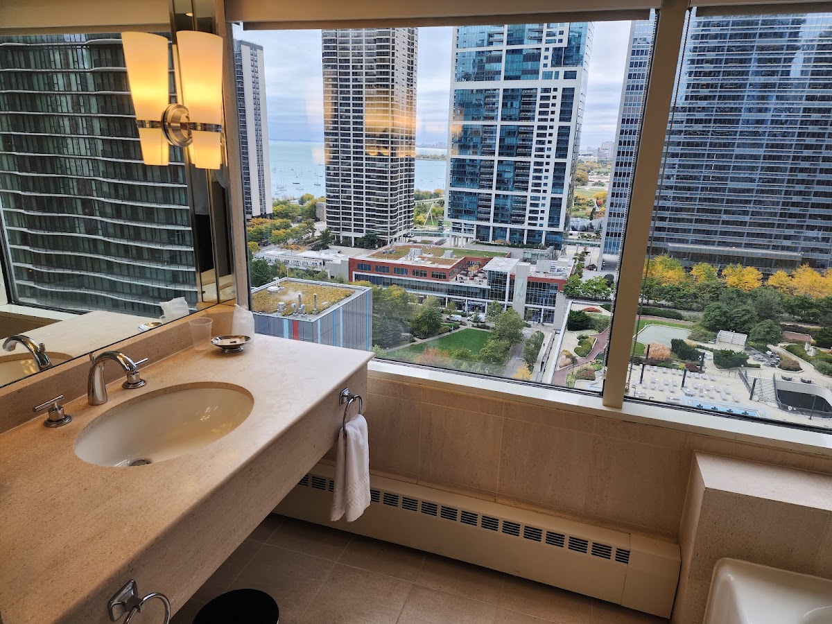 Swissotel Chicago, dog-friendly hotel, photo 3