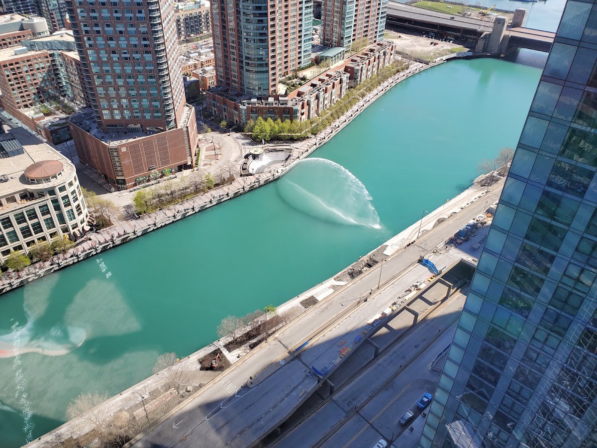 Swissotel Chicago, dog-friendly hotel, photo 2