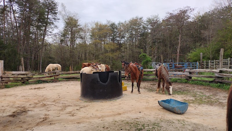 JMG Ranch - Photo 4