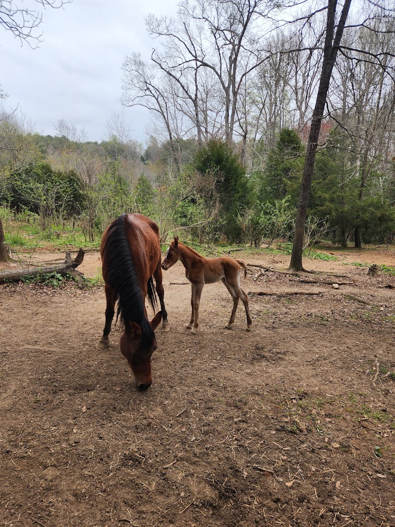 JMG Ranch - Photo 5