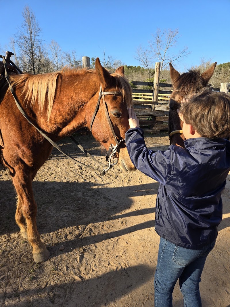 JMG Ranch - Photo 6