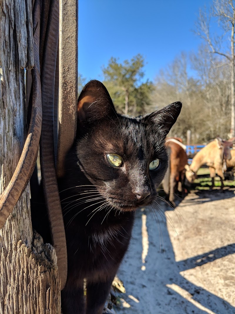 JMG Ranch - Photo 2
