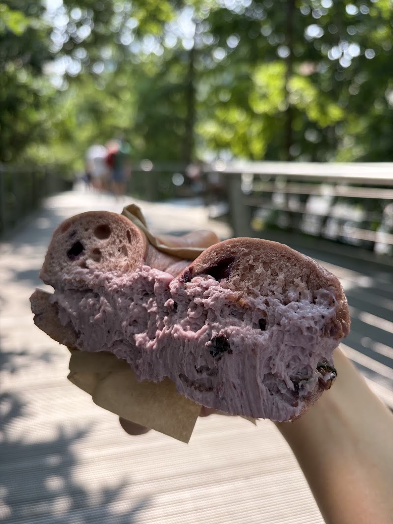 Brooklyn Bagel & Coffee Company photo 3