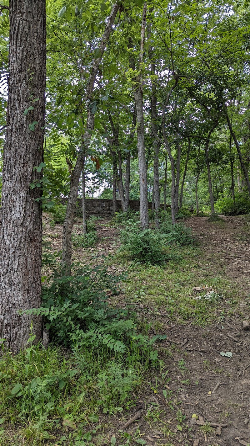 Hobby Hill Disc Golf Course photo 3