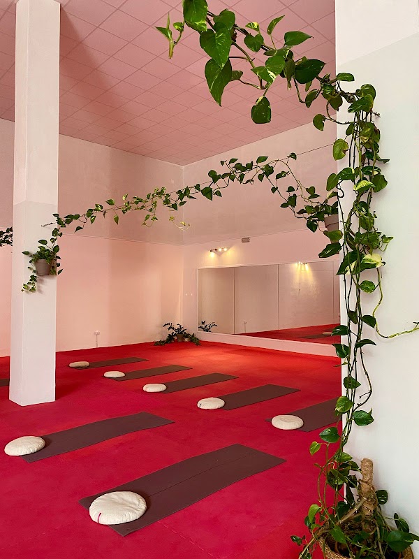 Yoga & Wellness in Callao Salvaje