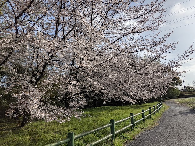 Aichi Country Club - Photo 8