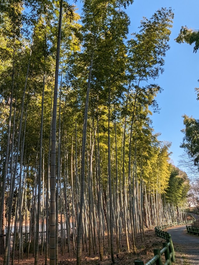 Aichi Country Club - Photo 7