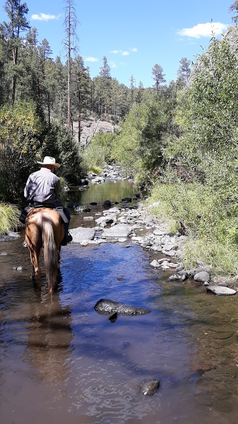 N Bar Ranch - Photo 6