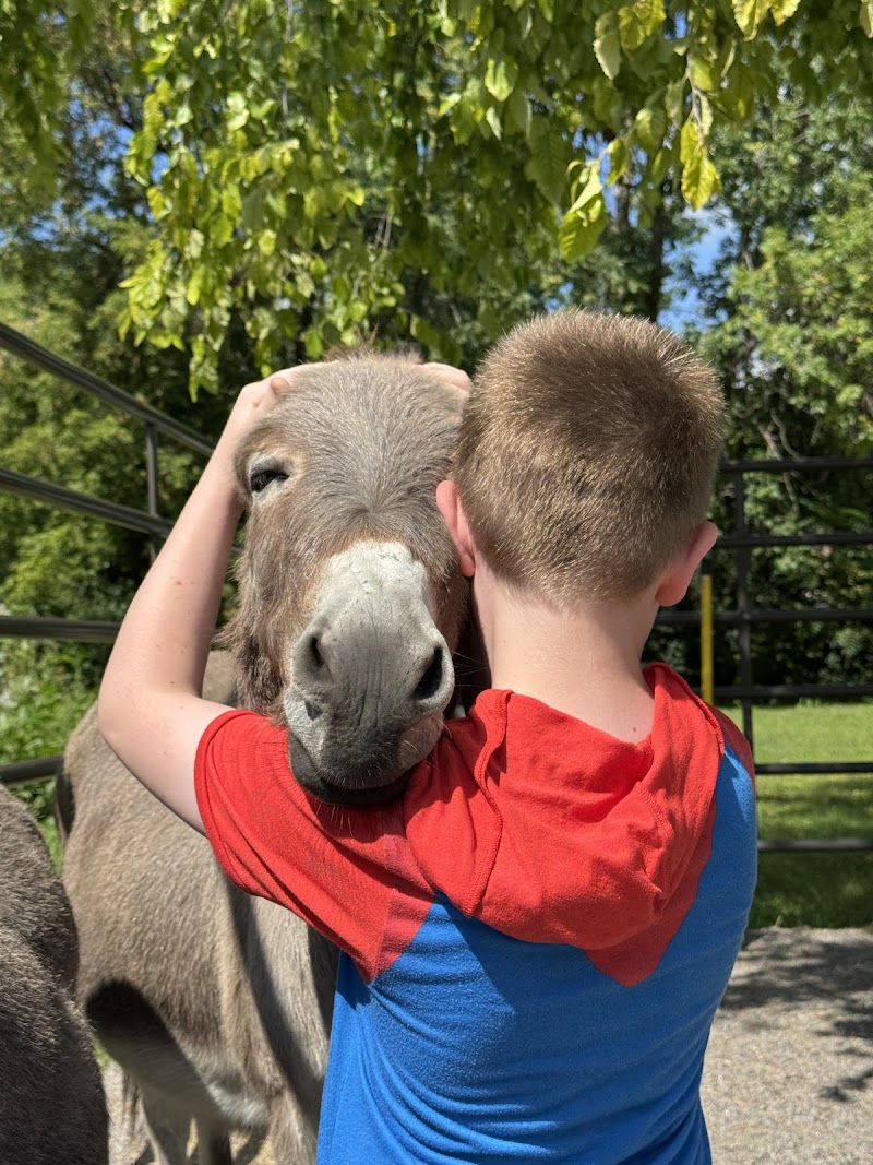 The Fancy Farmer photo 3