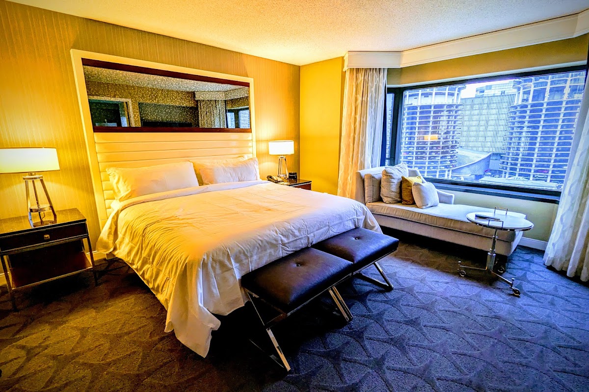 Renaissance Chicago Downtown Hotel, dog-friendly hotel, photo 5