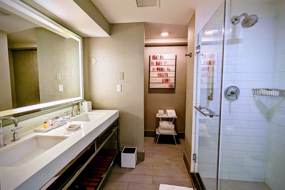 Renaissance Chicago Downtown Hotel, dog-friendly hotel, photo 3