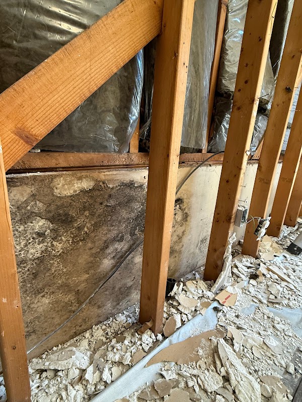 No Mold Atlanta — photo