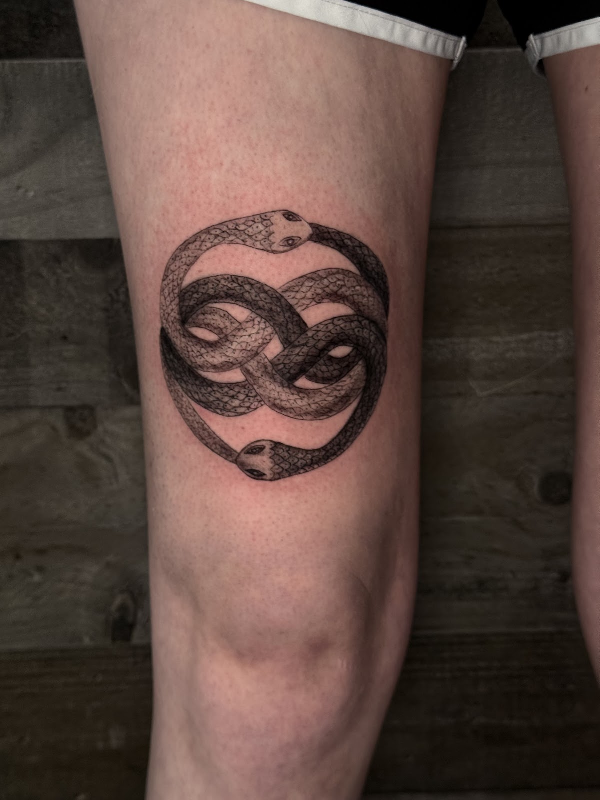 Xclusive Ink II — tattoo studio near New Britain