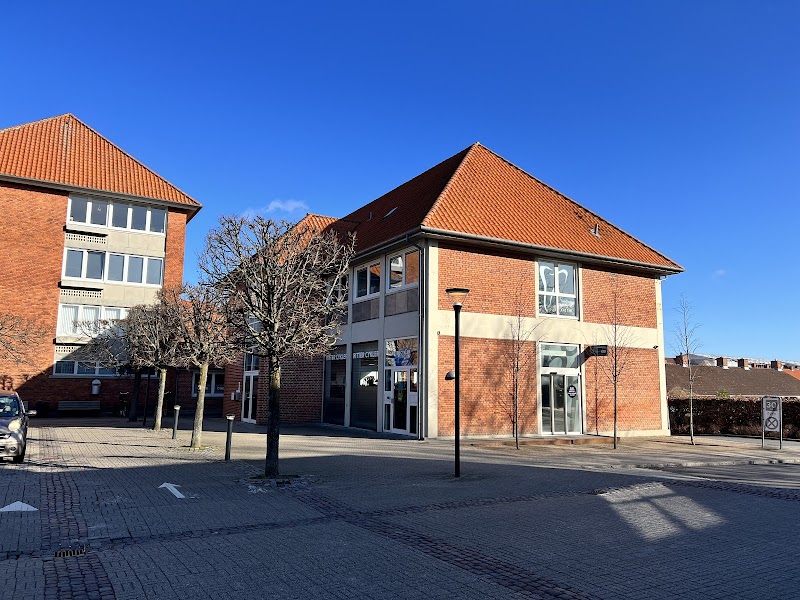 Line Molander Kragh - billede 6