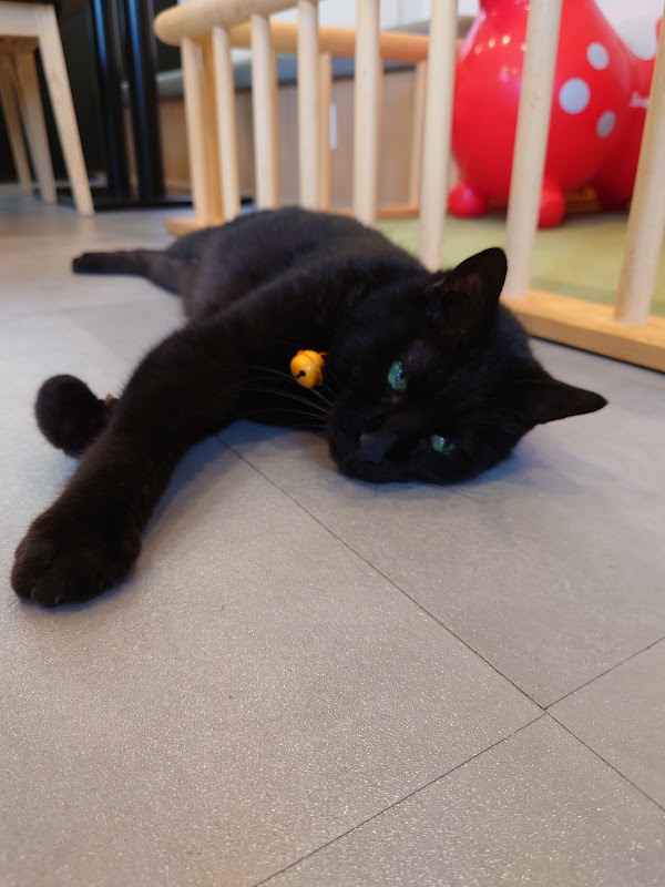 エレファントオート - 画像3