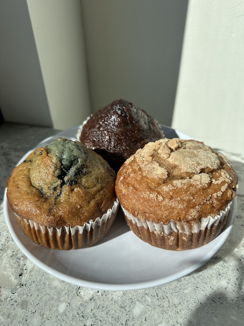 Serendipity & The Brew photo 2