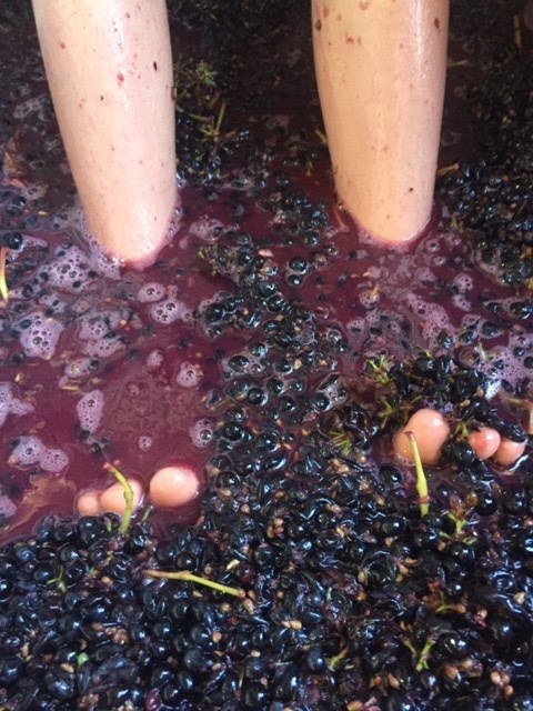 Z WINE