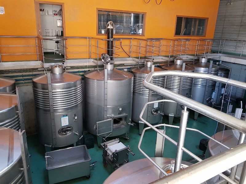 Vides Singulares, S.L. photo 5