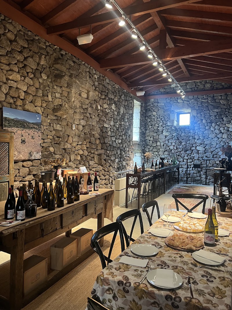 Vides Singulares, S.L. photo 3