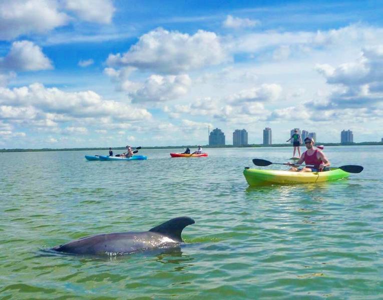 Paddle Naples - CLEAR & Standard Kayaks & SUPs - Bonita Springs