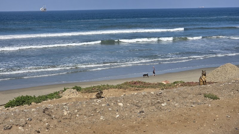 Dog Beach Bluff Top Parking Lot (North Lot) in Huntington Beach