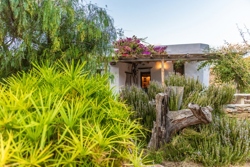 Under The Linden Tree, Tinos, Κήποs της Ξυνάρας