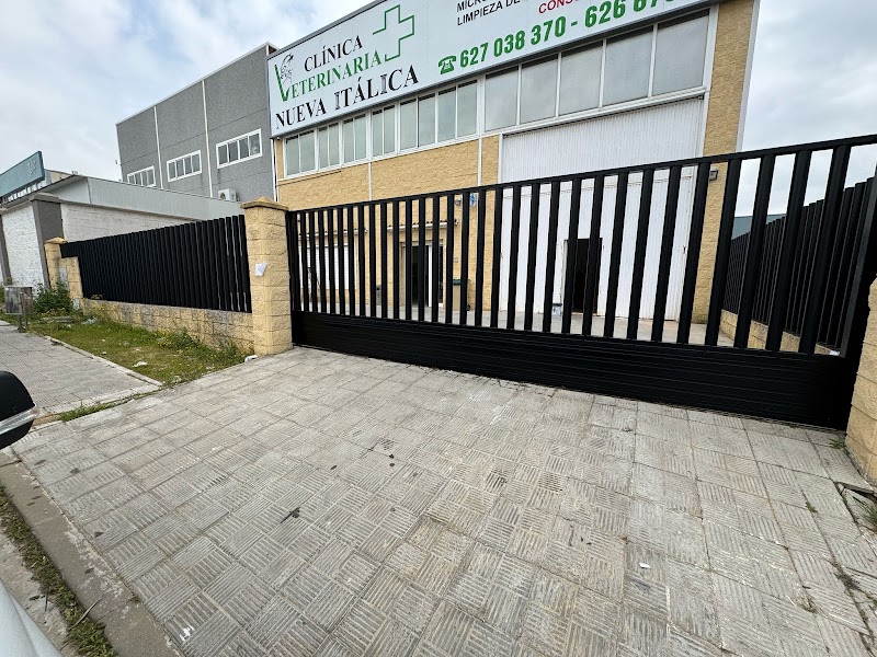 Clinica Veterinaria Nueva Italica