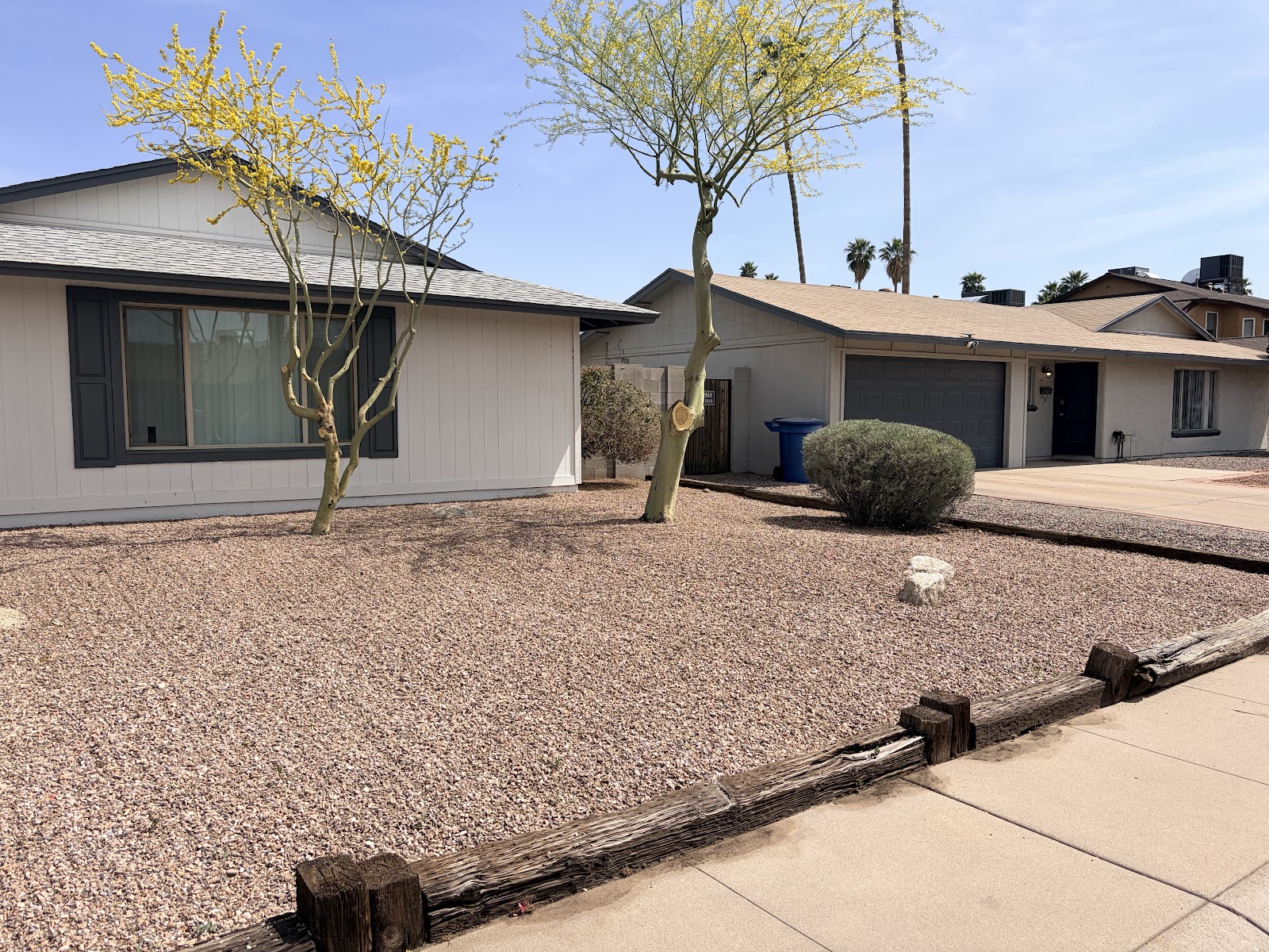 Lion Landscaping AZ LLC photo 4