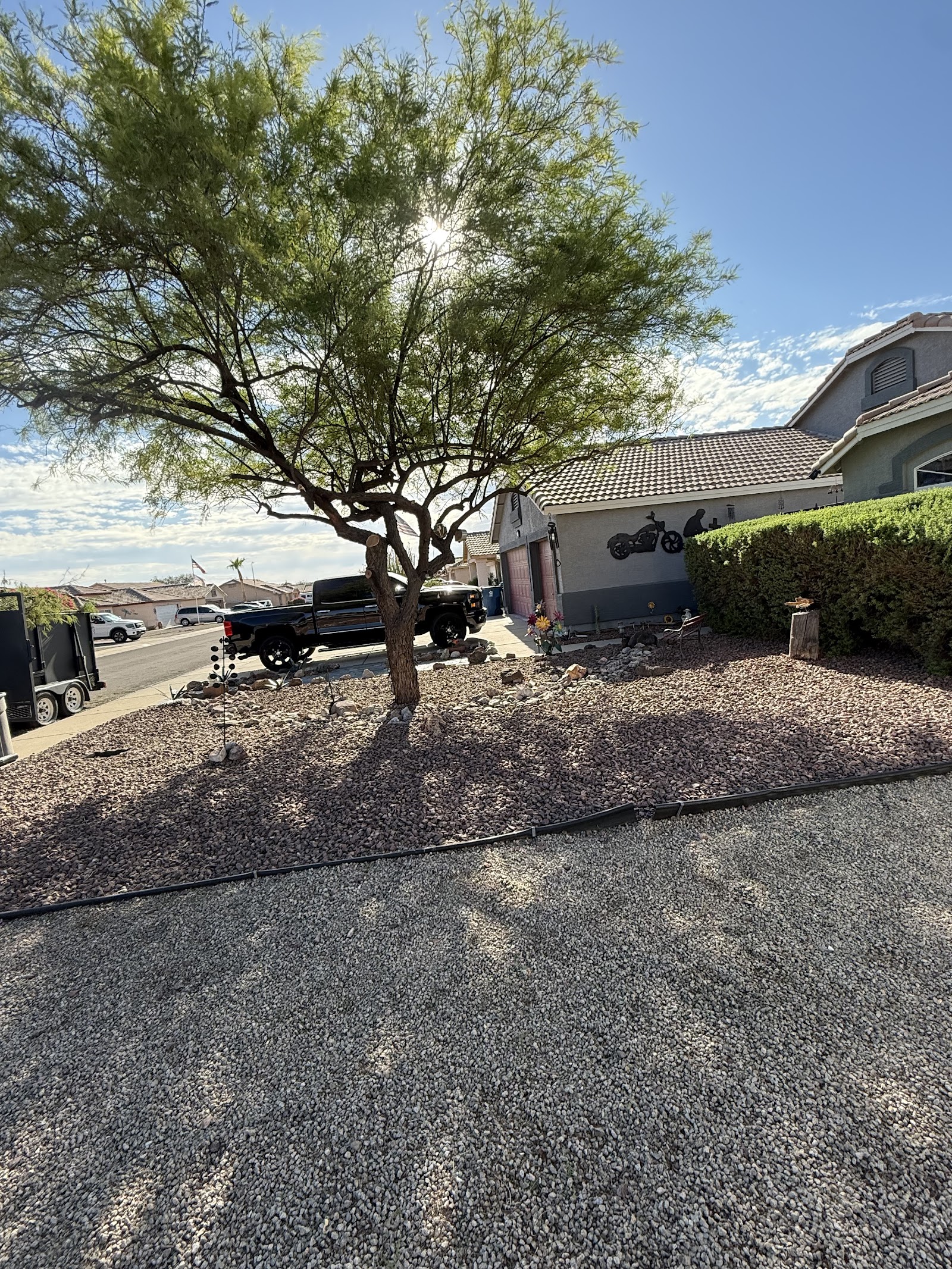 Lion Landscaping AZ LLC