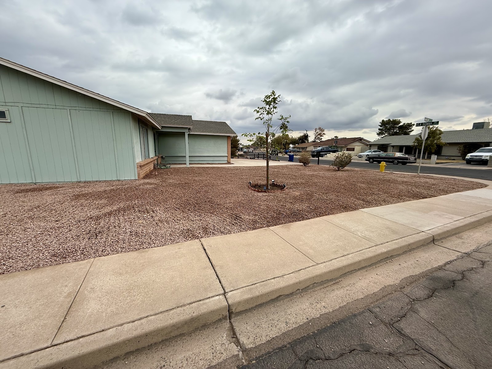 Lion Landscaping AZ LLC photo 3