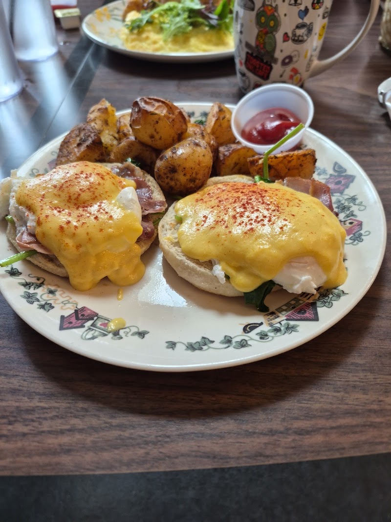 The Toasted Owl Cafe photo 3