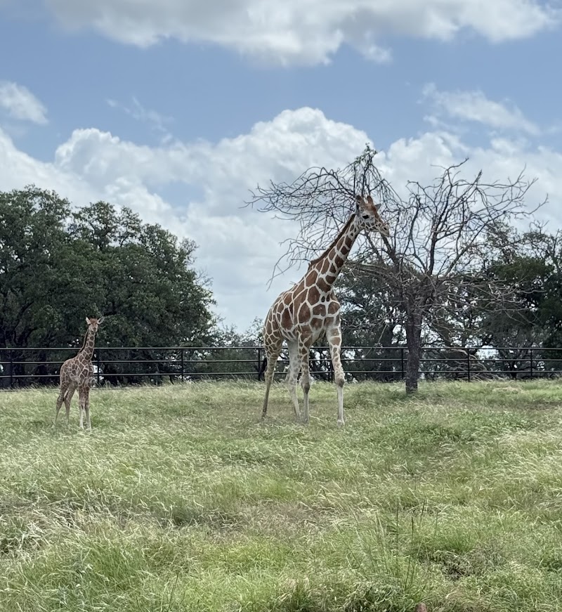 Artemis Ranch and Retreat - Photo 1