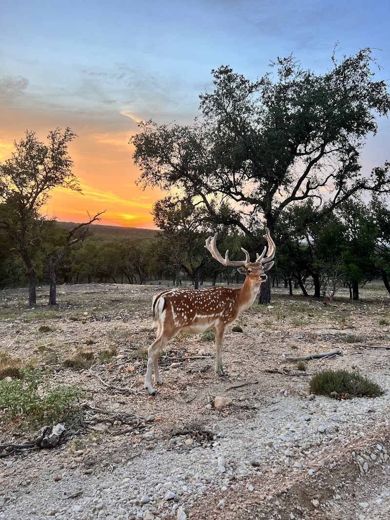 Artemis Ranch and Retreat - Photo 6