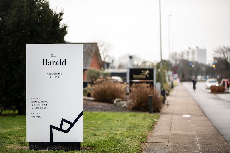 Harald Tandlægerne i Gjesing - billede 7