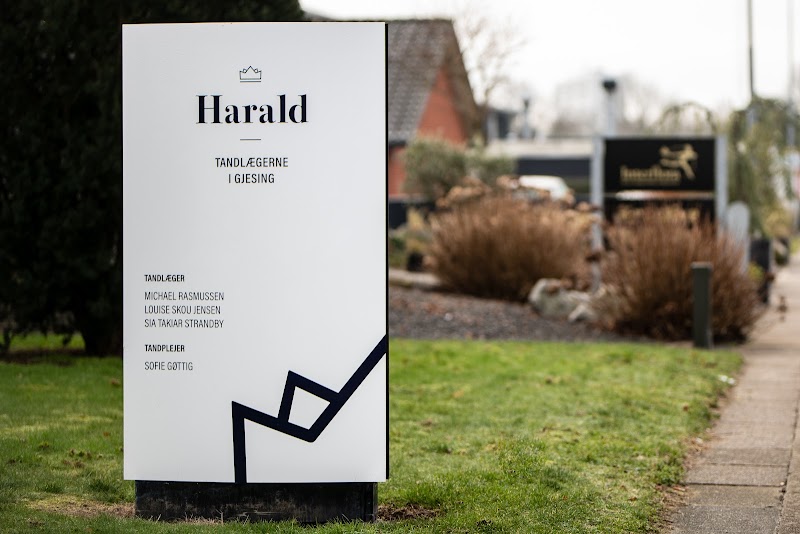 Harald Tandlægerne i Gjesing - billede 6