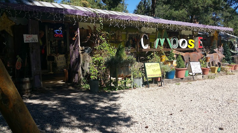 Chartreuse Moose photo 3