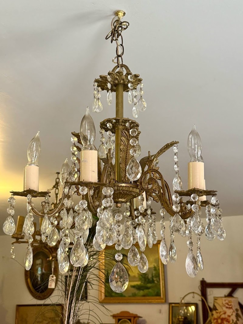 Chartreuse Moose photo 4