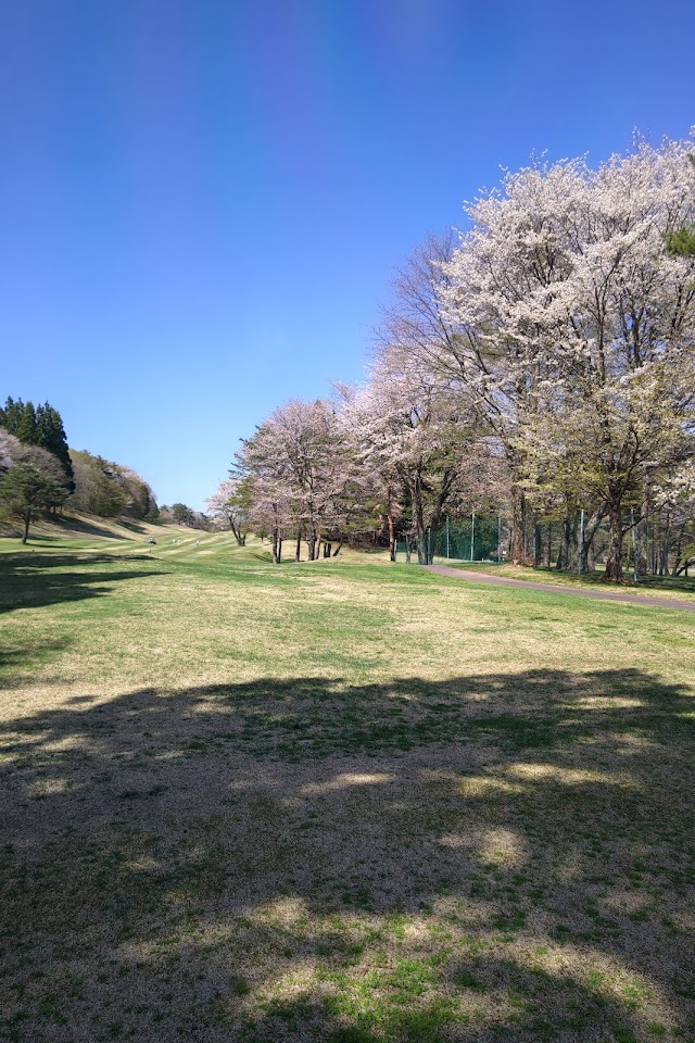 Ohnotai Golf Club - Photo 4