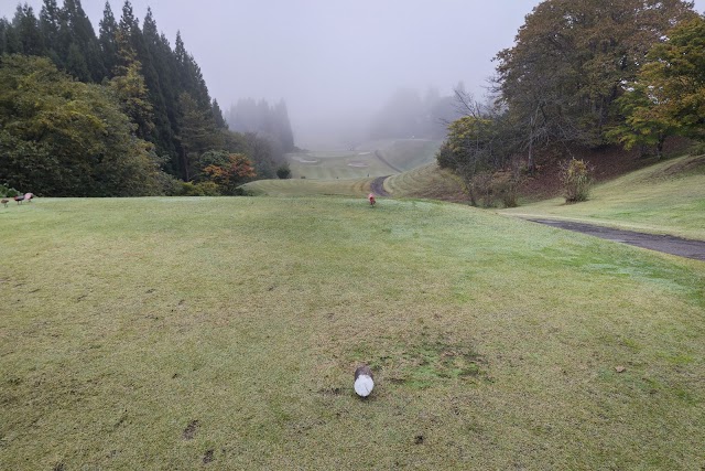 Ohnotai Golf Club - Photo 9