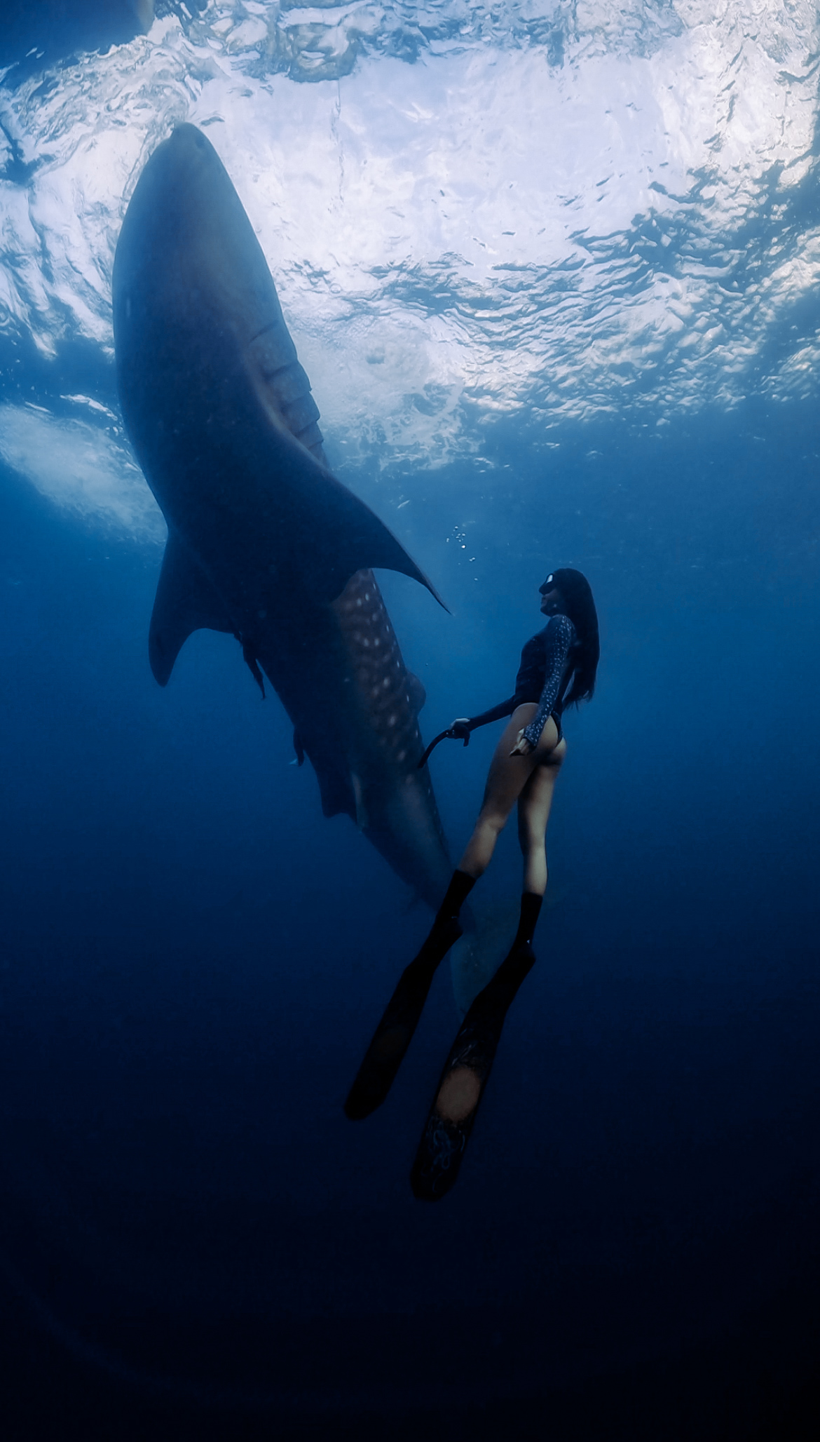 Freediving Amed — Freediving & Yoga