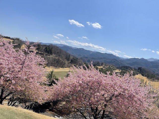 Gozan Club - Photo 8