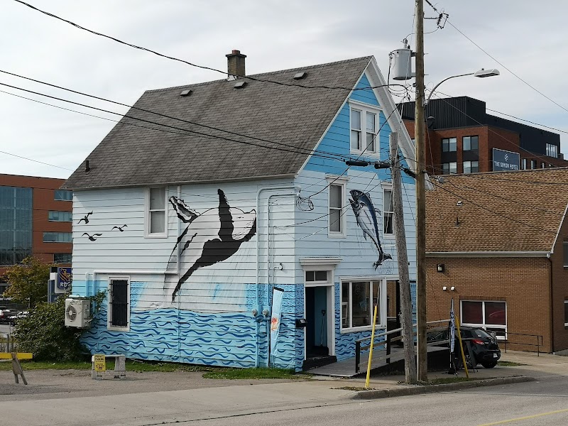 Louann's Café photo 3