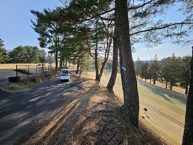 Aome Golf Club - Photo 5