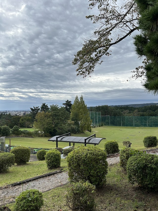 Aome Golf Club - Photo 9