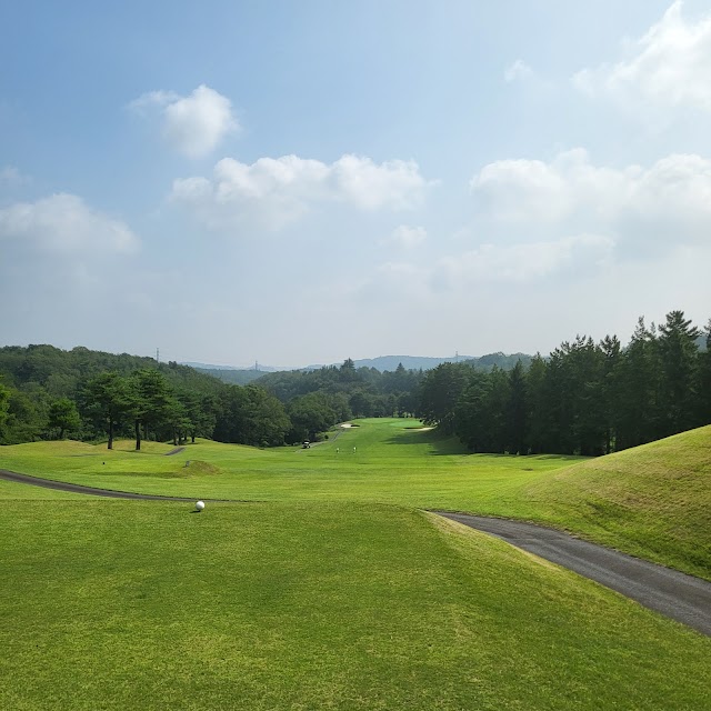 Aome Golf Club - Photo 7